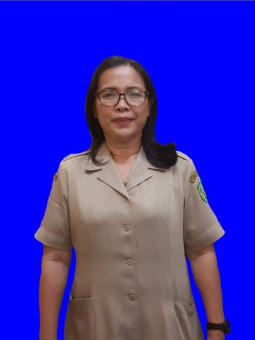 Rosmaria Girsang, Spd
